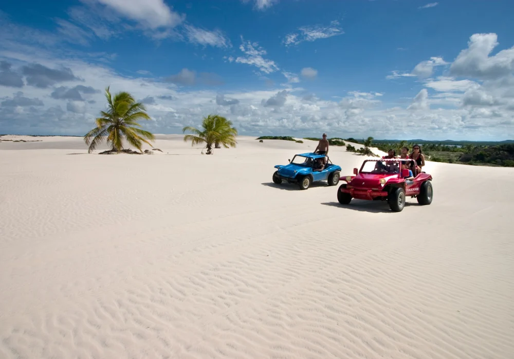 Bugueiros-da-Praia-do-Saco