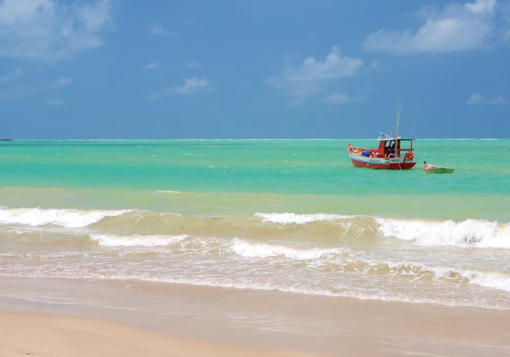 maceio457