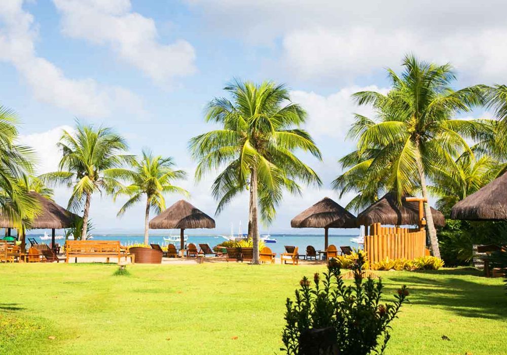 marau0333