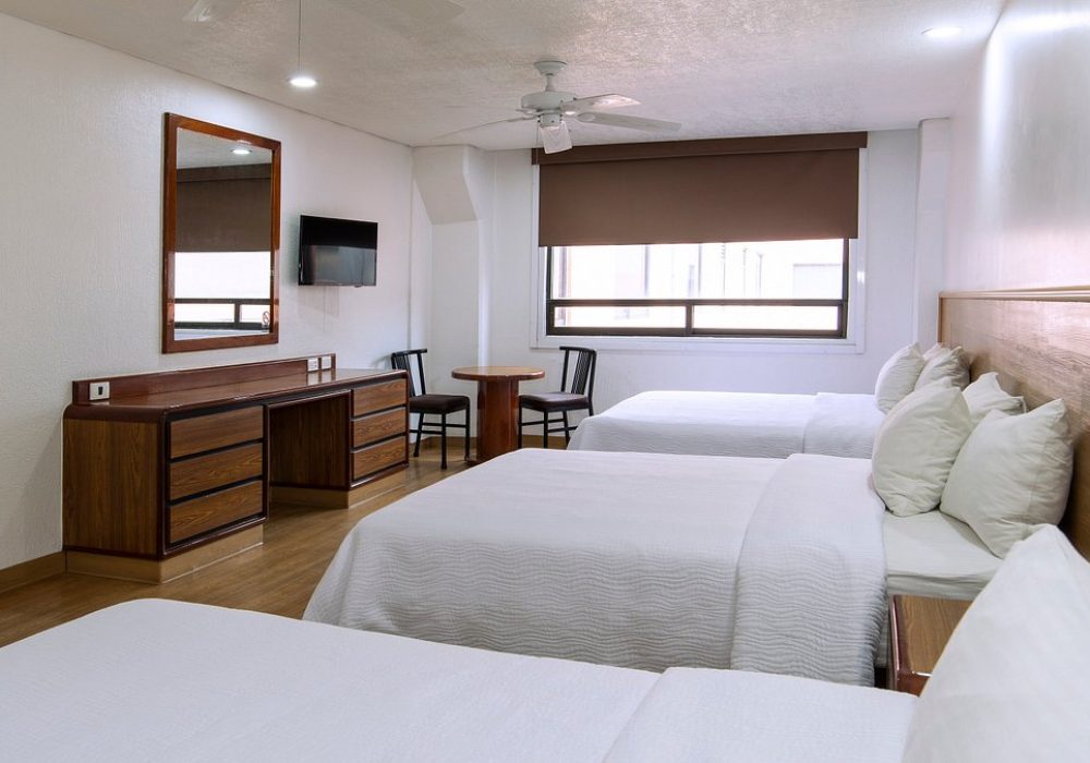 vista-general-de-habitacion (1)